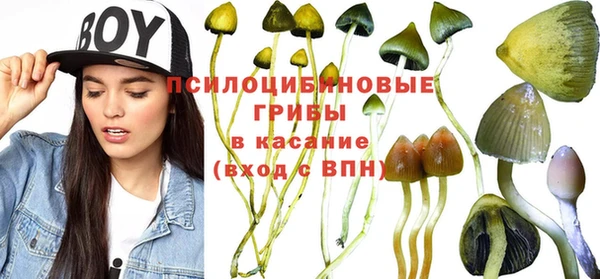 бутират Армянск