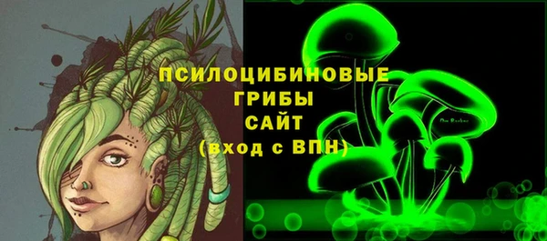 прущая мука Арсеньев