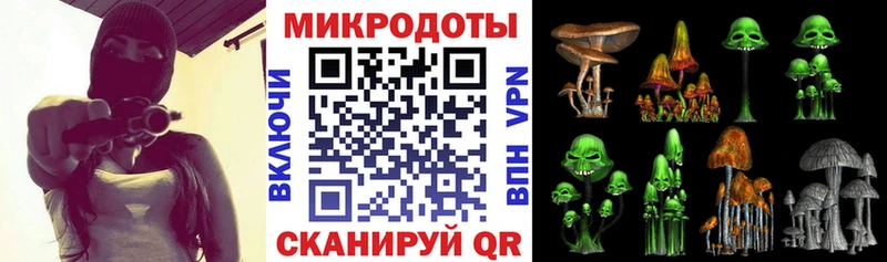 где купить   Камбарка  Галлюциногенные грибы прущие грибы 